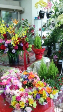 「花の店フラワーキャンパス」　（茨城県つくば市）の花屋店舗写真4