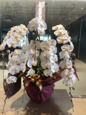 月曜日のお届け「花の店フラワーキャンパス」（茨城県つくば市の花屋）のギャラリー写真